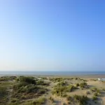 By The In Belgium *