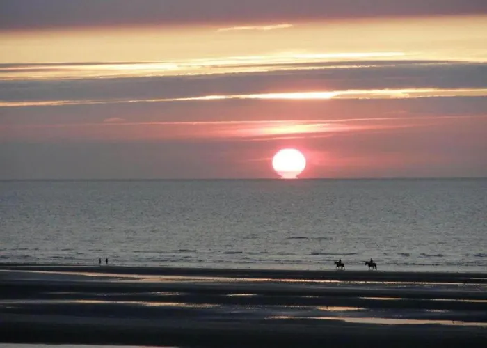 By The In Belgium Oostduinkerke
